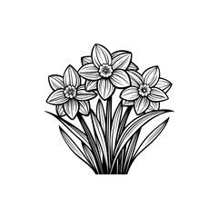 Elegant monochromatic sketch of daffodils in full bloom with delicate leaves Silhouette vector