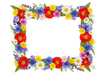 Rectangular floral frame with poppies, daisies, and cornflowers isolated on transparent background