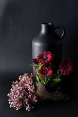 A bunch of pretty red daisies on a black background