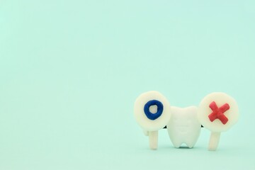 マル印とバツ印をもったミニチュアの歯