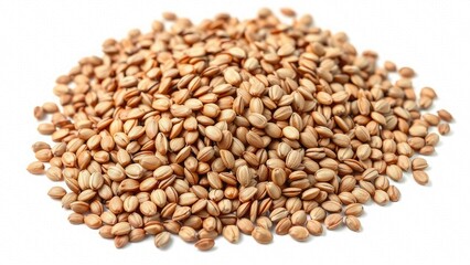 Fototapeta premium Pile of Raw Barley Grains cereal food