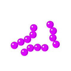 Streptococcus pneumoniae bacterial vector