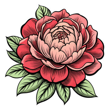 red peony flower with green leaves clip art preview