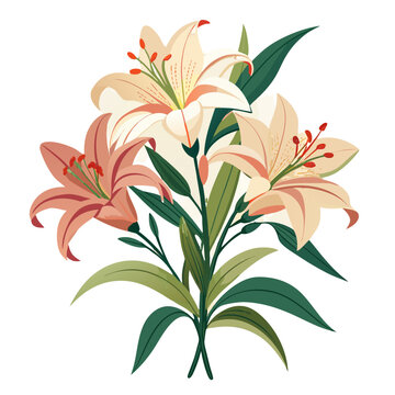 bouquet of lilies, cream and pink clip art preview