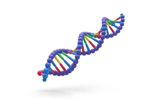 Dna Strand 3d Rendered on White Background