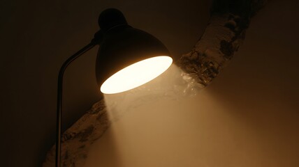 Desk Lamp Illuminating a Textured Surface with Light Rays