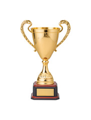 A vibrant softball ready for the game
