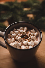 Cup of hot chocolate with marshmallow. Hot winter drinks in christmas environment. Cozy winter mood.
