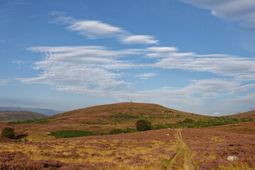The Hill of Rowan with the distinctive cylindrical Maule Monument built on top of it, seen from the small Village of Tarfside.