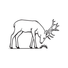 Simple outline drawing of a grazing stag with large antlers, isolated vector line art illustration.
