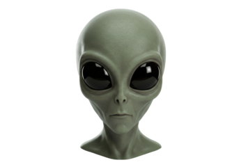 Isolated Grey Alien Head Showing Extraterrestrial Anatomy Featuring Oversized Eyes