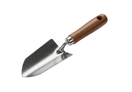 Isolated garden trowel, stainless steel blade, wooden handle, gardening tool for digging