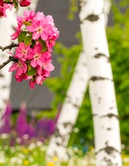 Vibrant pink blossoms in focus against a softly blurred background of birch trees and wildflowers