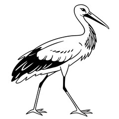 stork on a white background