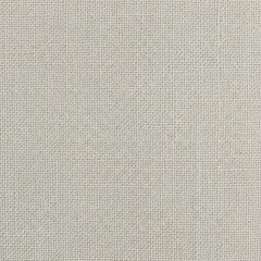 Light gray woven fabric texture.