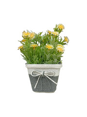 Flower pot with yellow flowers