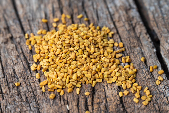 fenugreek seeds on wooden background. Brown wooden spoon whole of dry yellow fenugreek seeds or shambhala, helba seeds