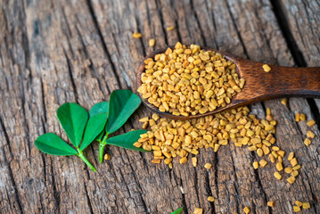 fenugreek seeds on wooden background. Brown wooden spoon whole of dry yellow fenugreek seeds or shambhala, helba seeds