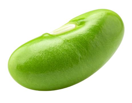 Isolated High-Resolution Macro of a Lima Bean