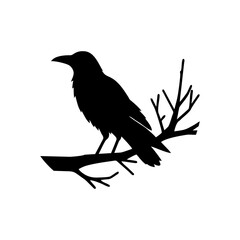 raven on a branch