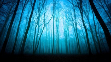 rays of light through the forest, dark foggy woods, trees, spooky, halloween, hauntingly beautiful, tall bare trees, 