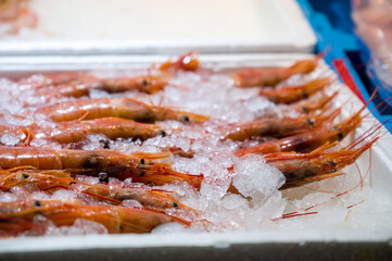 Fresh prawns in a market with ice