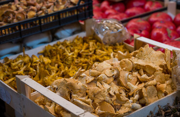 Fresh mushrooms in a market