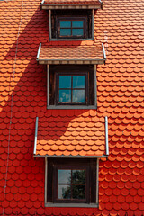 Buildings and their roofs in the city of Bydgoszcz