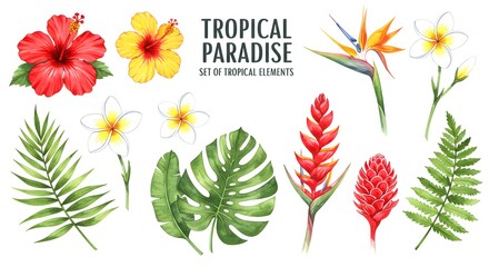 Watercolor floral illustration, a beautiful set of tropical elements showcasing red and yellow hibiscus, plumeria, bird of paradise, and lush foliage.