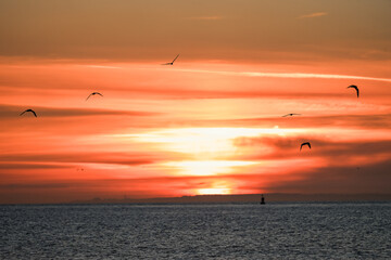 Idyllic sunset on the Atlantic coast. Sky in orange tones.
