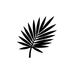 Obraz premium Isolated black silhouette of a palm leaf with sharp fronds on a plain white background minimalist design