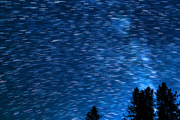 Star Trails of Milky July in South Sky Over Trees Palomar Mountain San Diego Astrophotography in California USA
