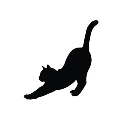 Black cat stretching sideways with tail up on white background