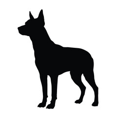 A black silhouette of a standing dog with pointy ears and alert posture