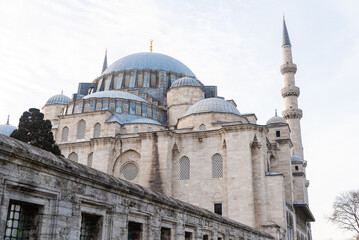 left side view, Hagia Sophia in Istanbul, T&uuml;rkiye, Blue Mosque