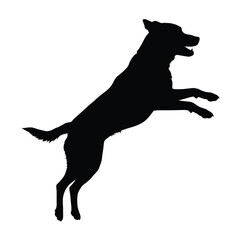 A black dog jumping in the air with its mouth open and ears up