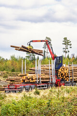 Loading timber with a crane onto a truck in the forest