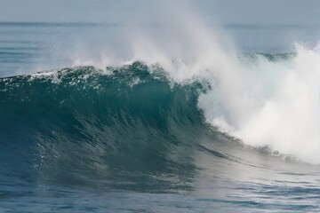 Fototapeta premium A large, curling wave crashes into the shore.