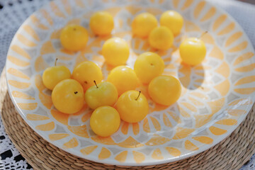 Yellow plums on orange and white plate under soft sunlight on lace picnic tablecloth