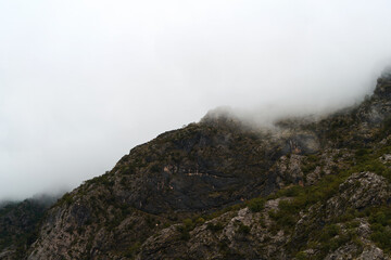 Dense fog creates a moody and atmospheric mountain scene