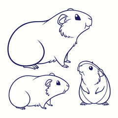 vector illustration of a polar bear
