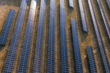 Field covered with photovoltaic panels