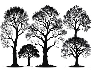 Obraz premium Silhouettes of four different trees