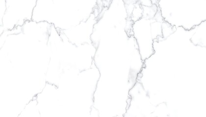 Obraz premium A pristine, elegant marble surface showcases intricate veins and patterns in a flawless white background.