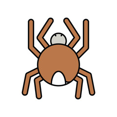 Spider  color line icon with white background vector stock illustration