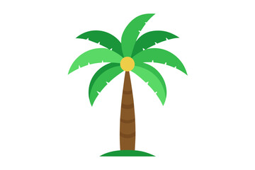 palm tree isolated on white