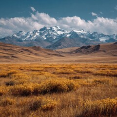 Fototapeta premium Mountainous horizon over vast yellow field