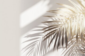 Fototapeta premium Palm frond casting shadows on a wall. Light and airy. Neutral tone