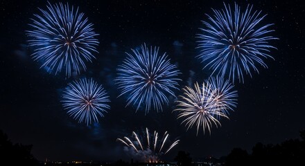 Fototapeta premium Blue fireworks display against dark night sky