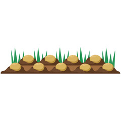 Garden bed with growing potatos vector illustration on white background